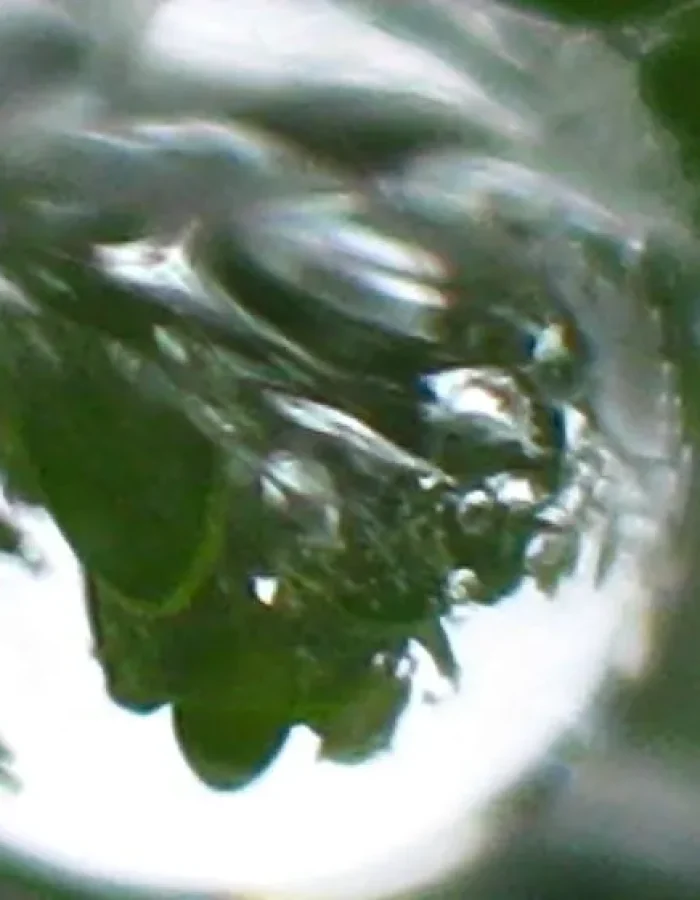 img_3635-e1462291770691