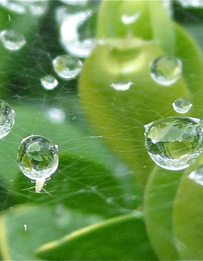 img_3675-versiocc81n-2